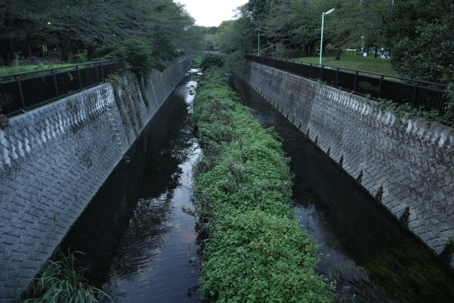 デートコース 仙川 集合から解散まで 東京のおすすめデートコース50選