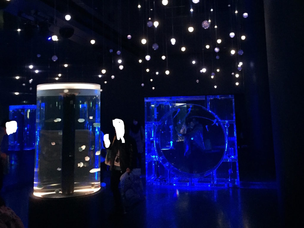 社会人の3回目デートにおすすめ 品川の水族館デートをご紹介 30代 まつげブログ